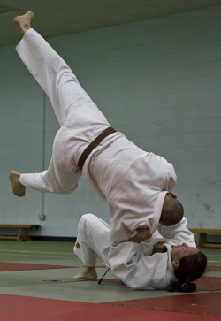aylwin judo club stunning pictures02.jpg